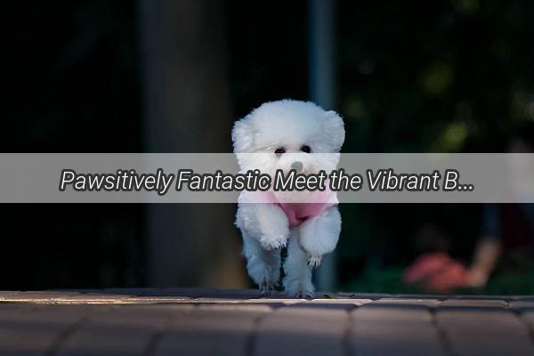 Pawsitively Fantastic Meet the Vibrant Blue and Gold Canine Beauty Storming the Pet World